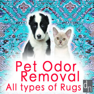 Pet Odor & Stain Removal