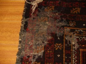 tulsa rug cleaner moth proofing